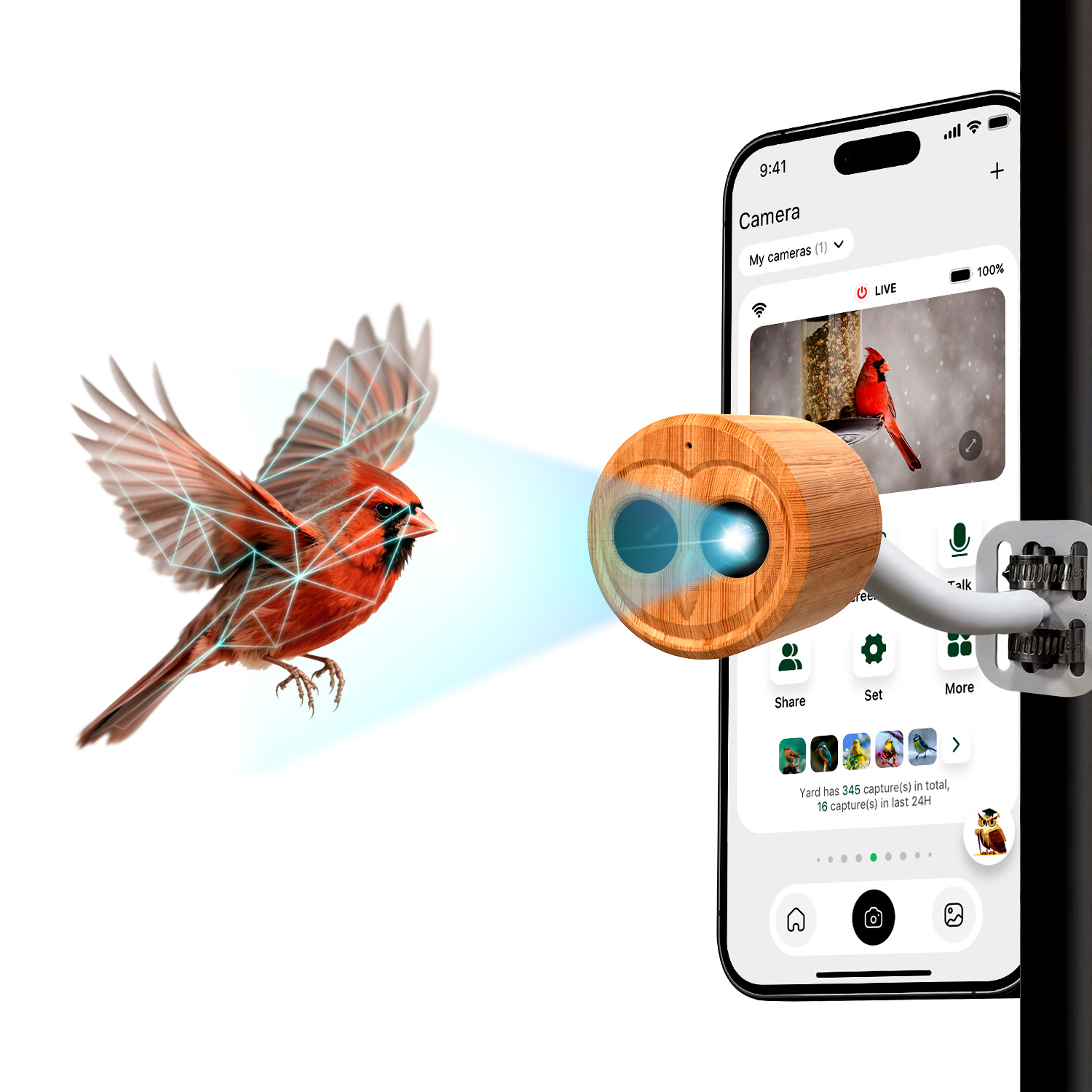 4K Smart Vogelvoeder met Camer - Power Outdoor recensie en prijs