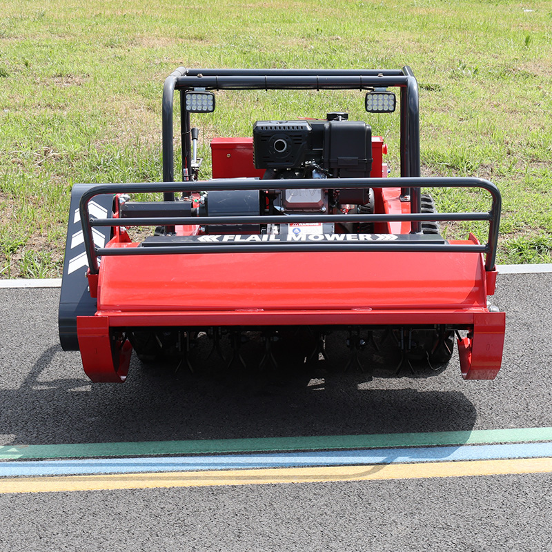 Aangepaste CE EPA Lithium Batt - Lawn Mower Battery recensie en prijs